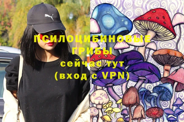 СК Елабуга