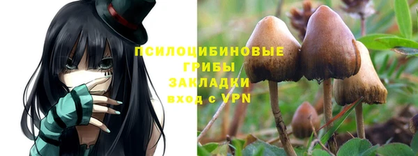 СК Елабуга