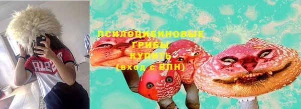 СК Елабуга