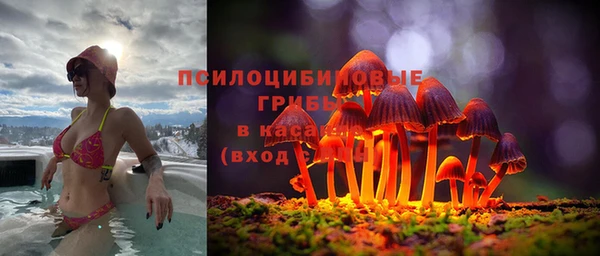 кристаллы Ельня