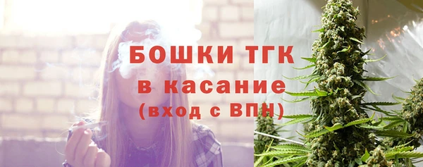 СК Елабуга