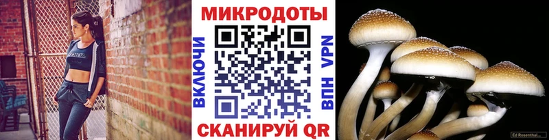 Псилоцибиновые грибы GOLDEN TEACHER  Чадан 